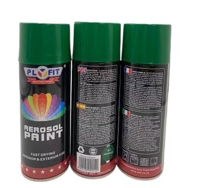 400ml snel Drogend de e-Mede Vriendschappelijke Roestvrije Verf van de Aërosolnevel